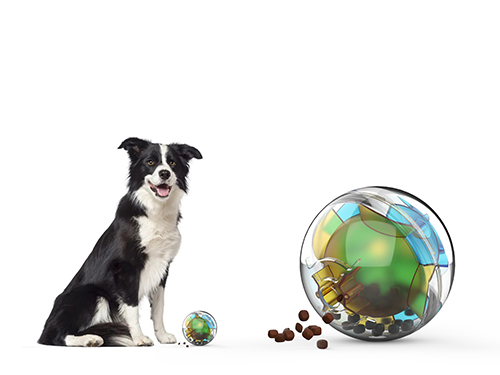 寵物(wù)玩(wán)具